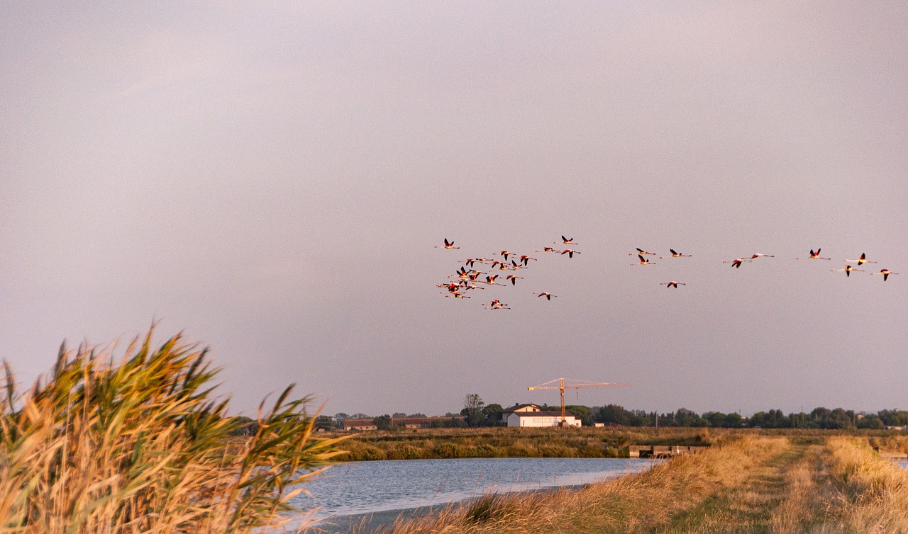 Saline di Cervia