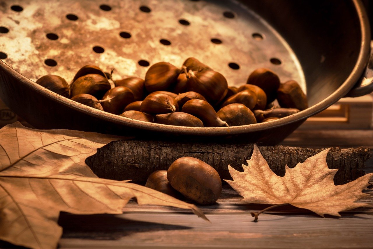 castagne
