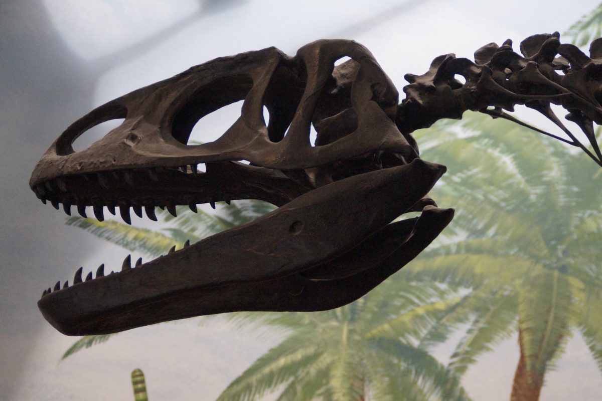 dinosauro
