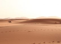 Dormire nel deserto Marrakech