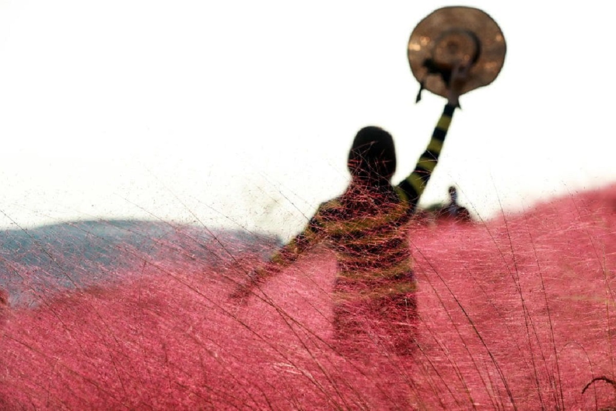 Erba rosa Cina