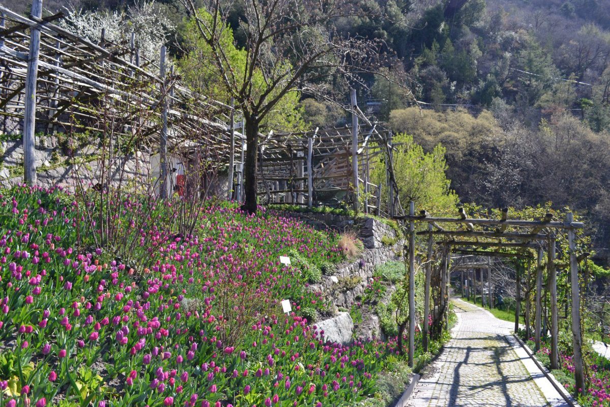 Giardini di Castel Trauttmansdorff