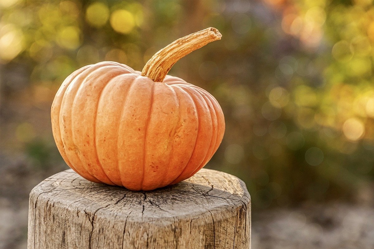 Halloween offerte weekend