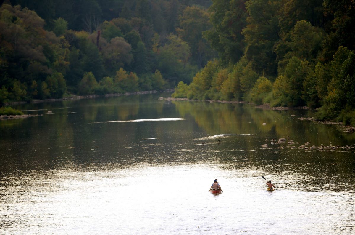 kayak londra