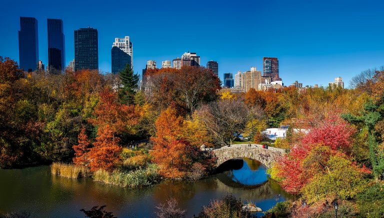 new york in autunno