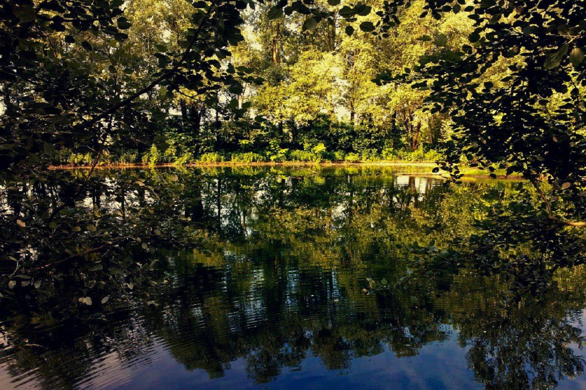 Parco ittico Paradiso