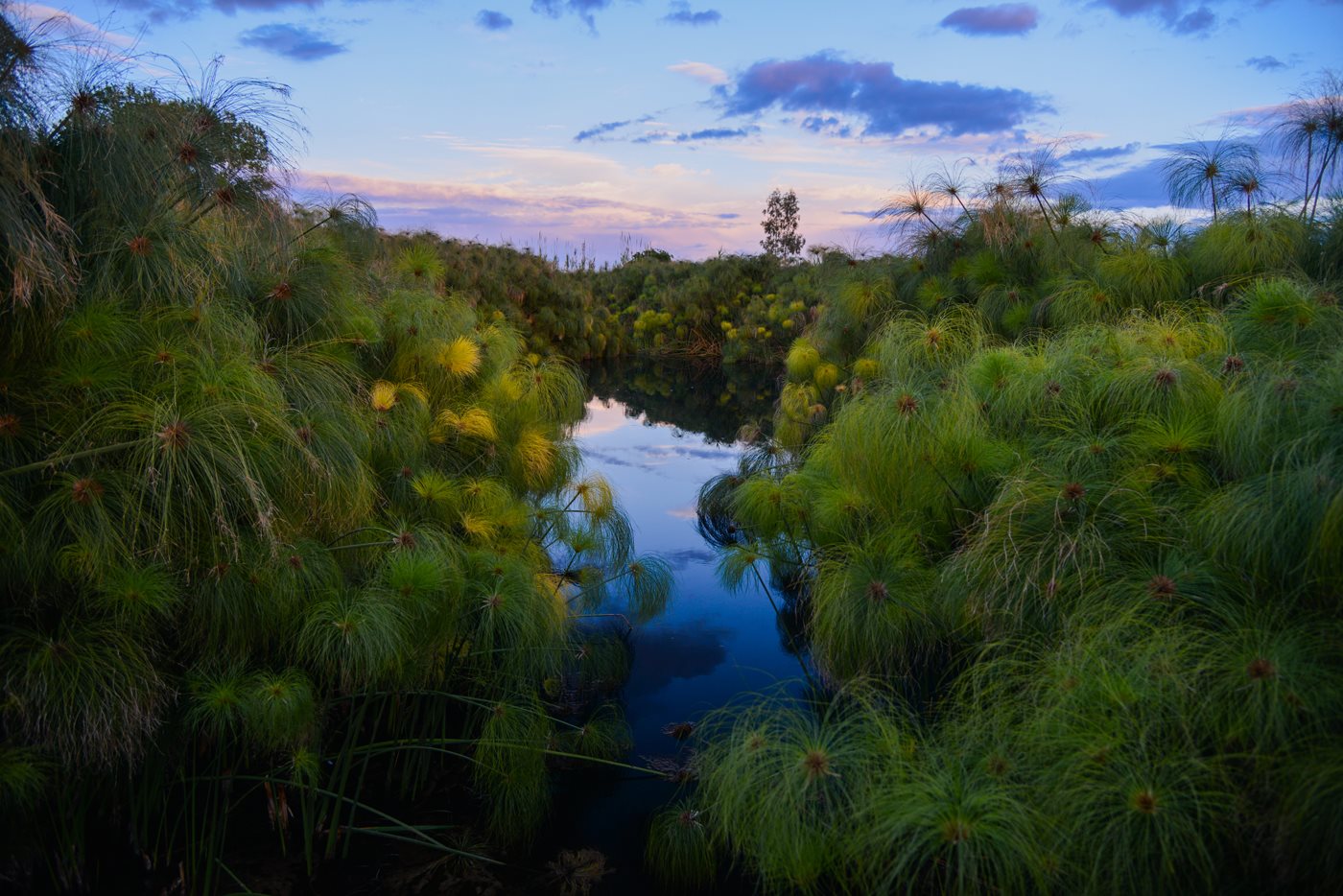 riserva del fiume ciane