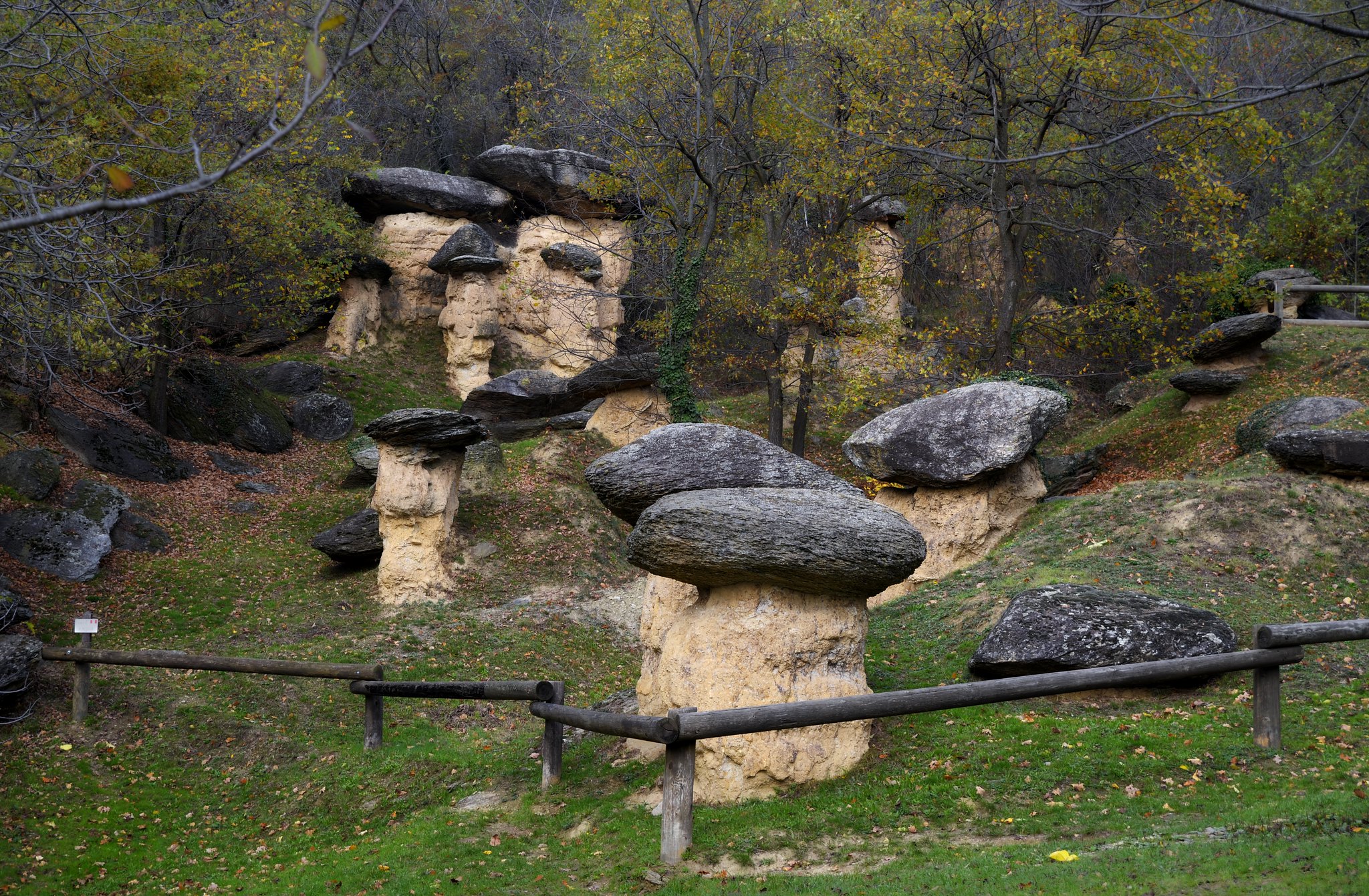 riserva naturale del ciciu del villar