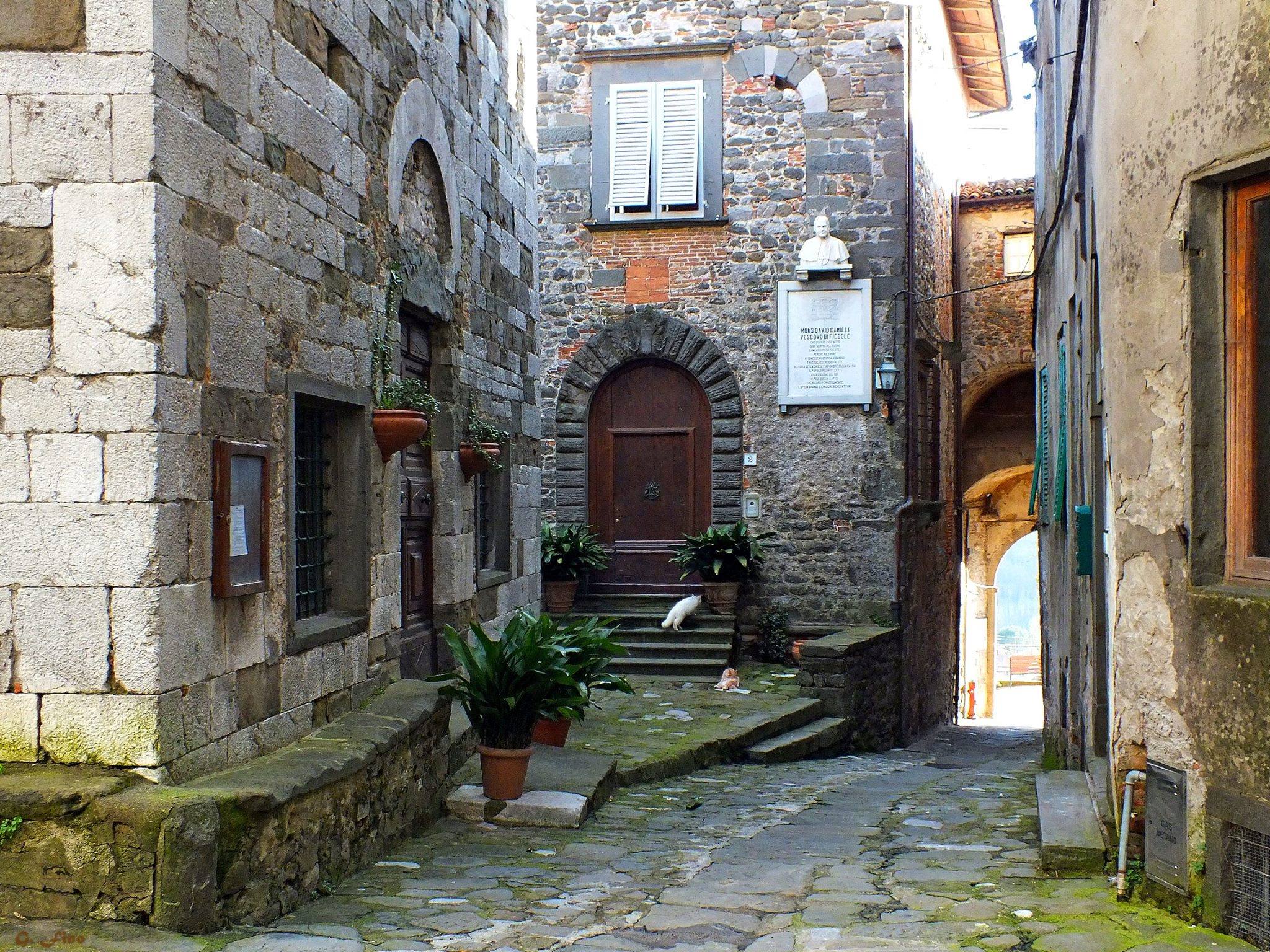 Serchio