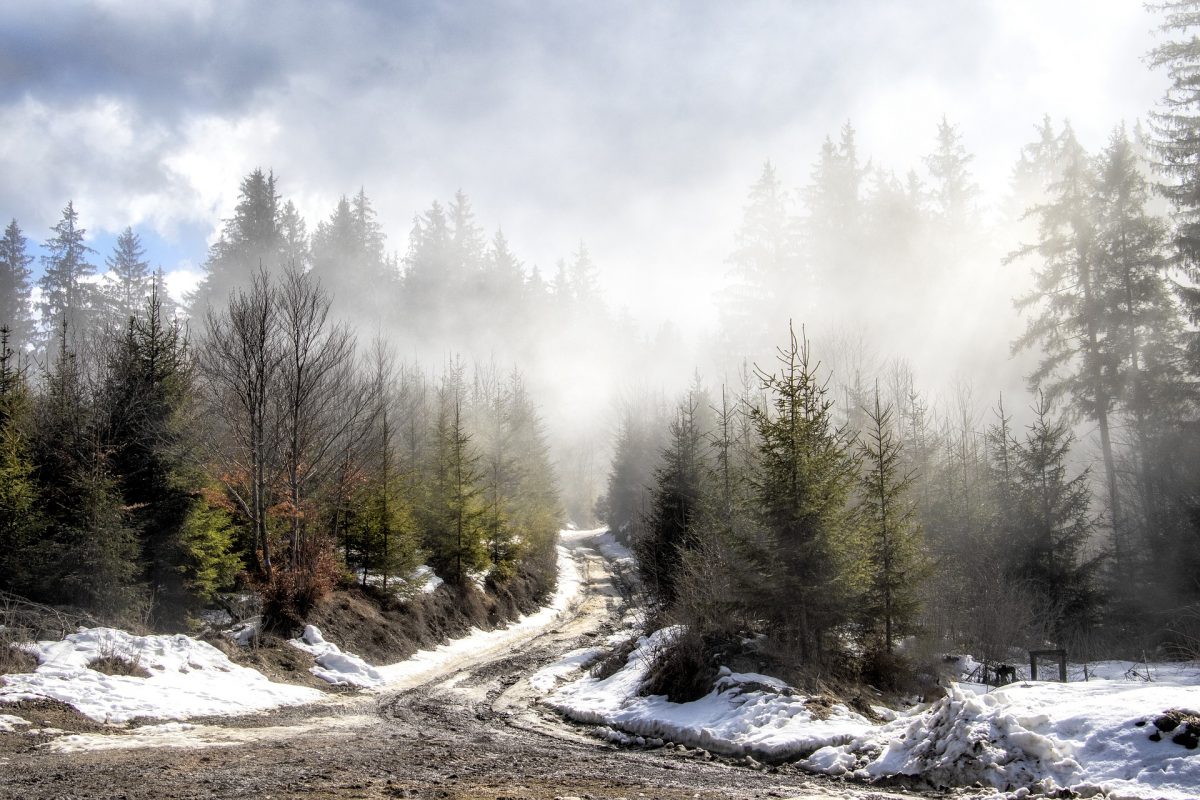 transylvania