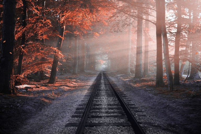 Trekking ferrovie dimenticate