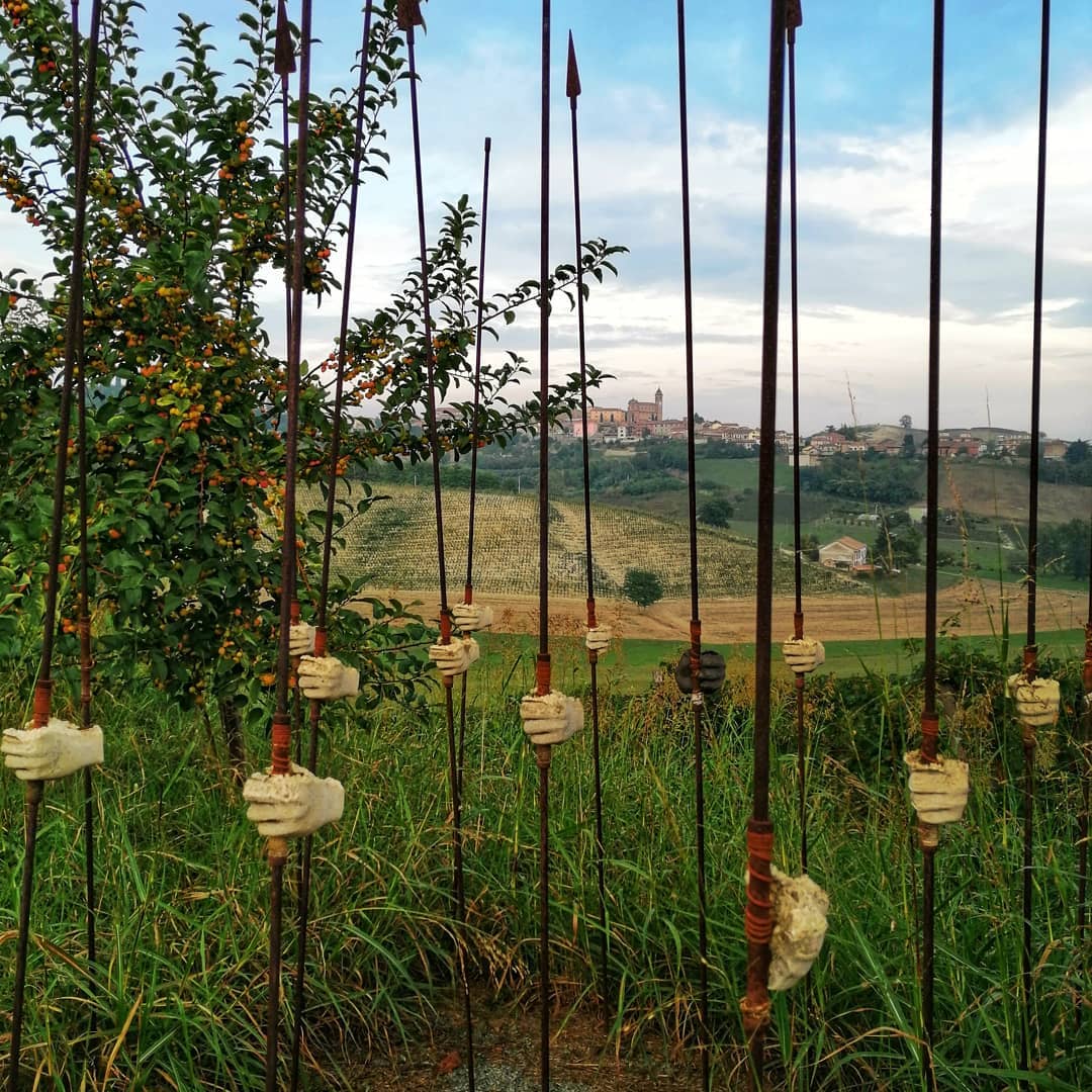 Vigneto asti