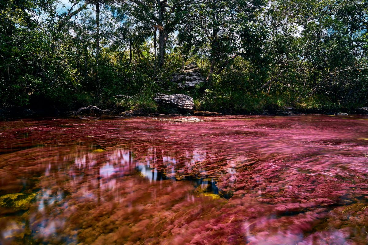cano cristales colombia