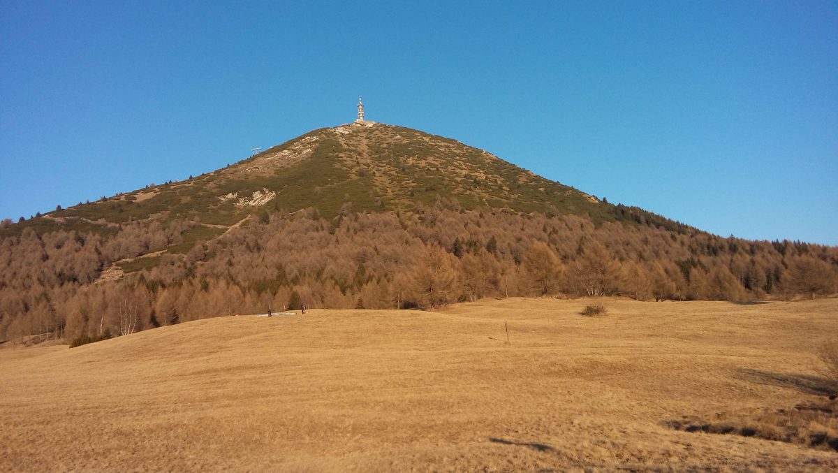 monte palon