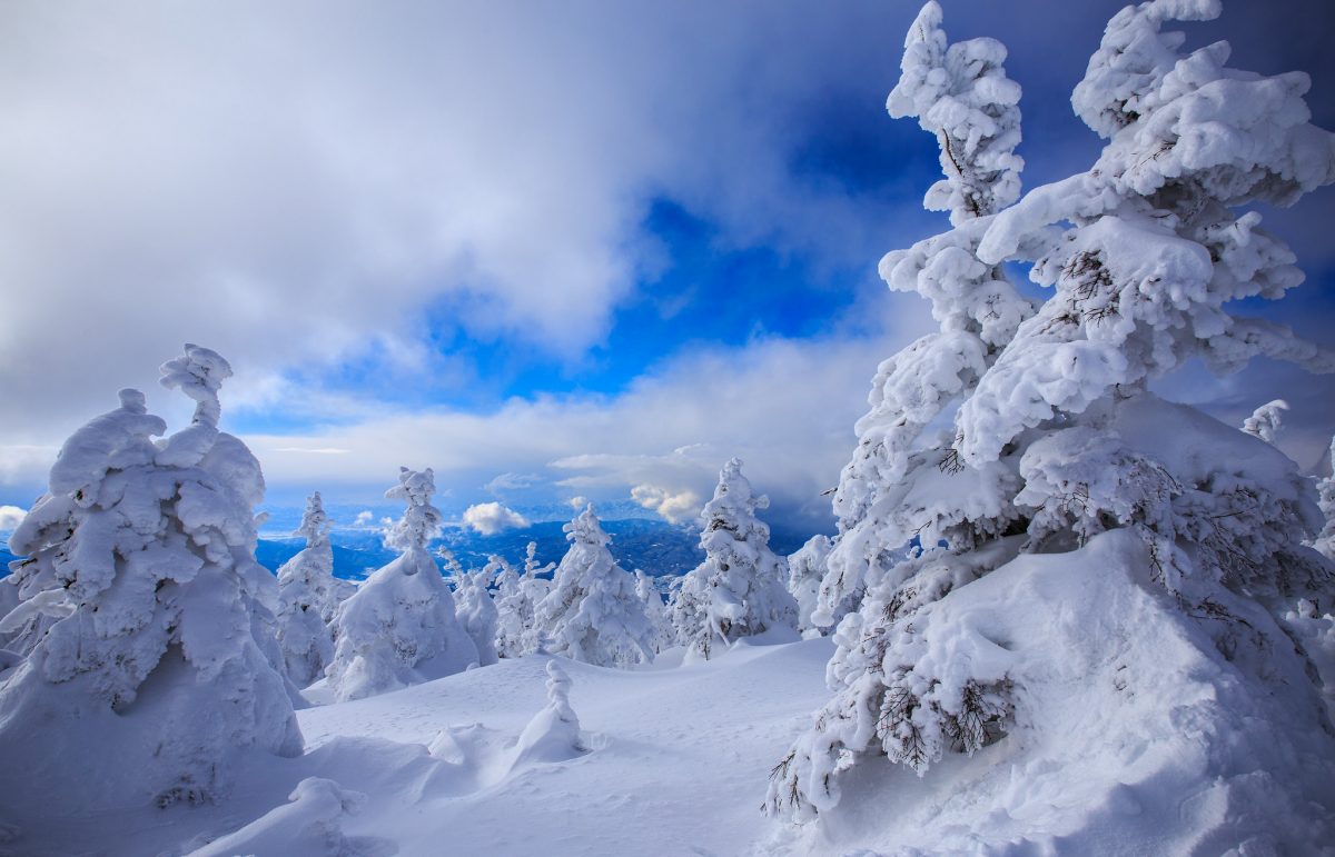 mostri della neve