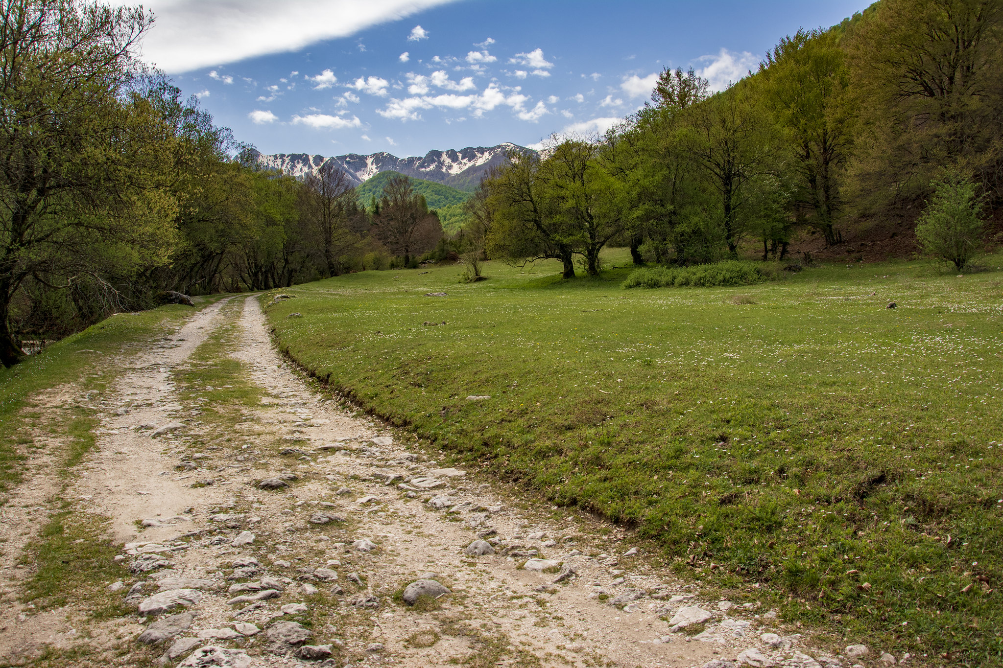 Parco Nazionale d'Abruzzo