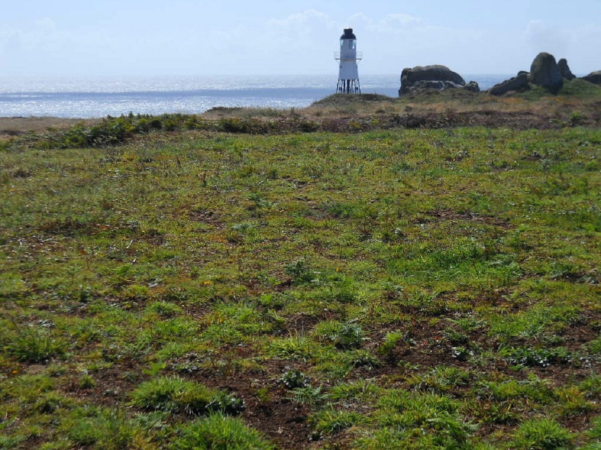isole scilly