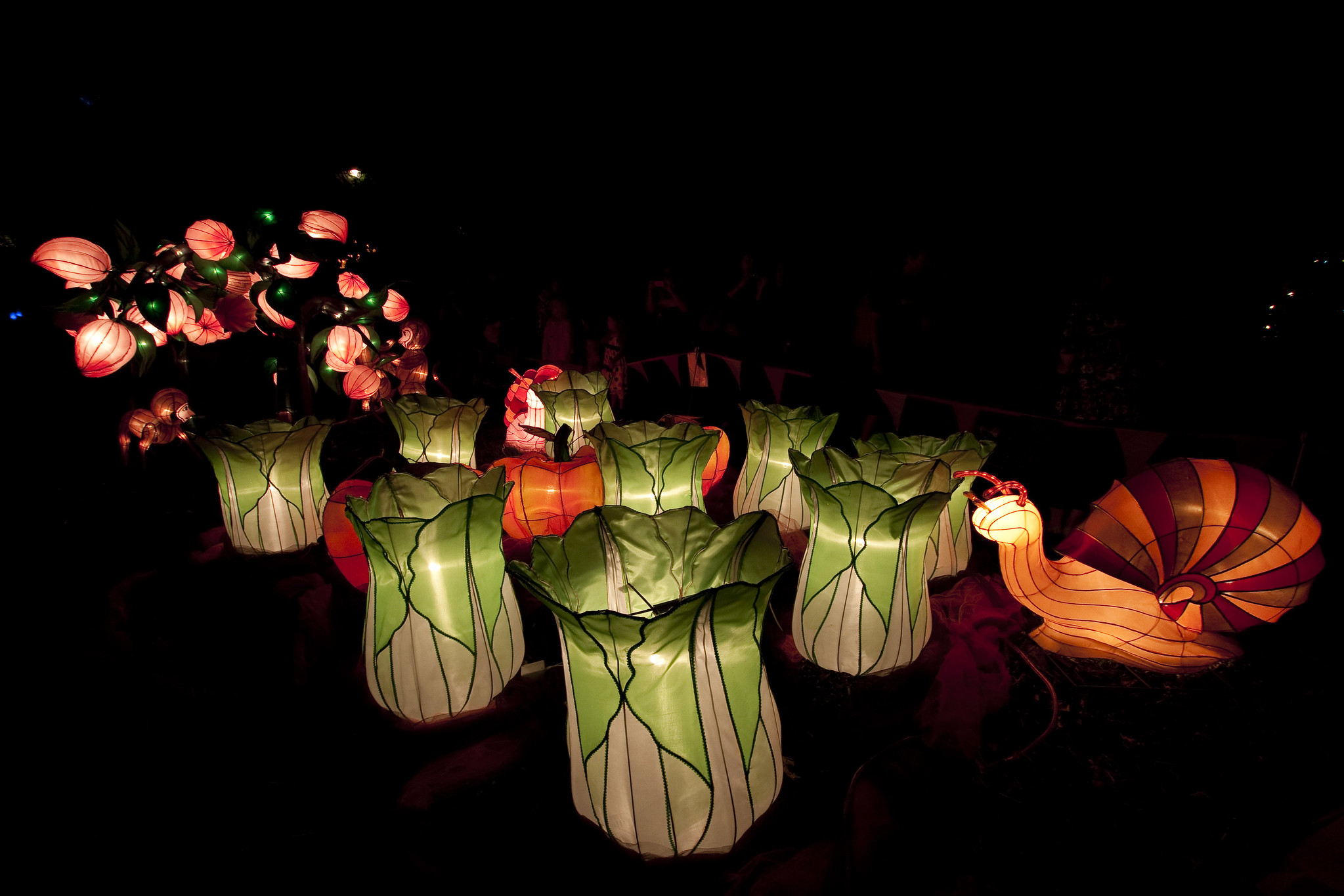 auckland festival
