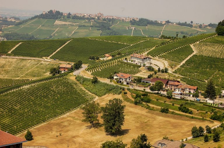 aratura piemonte 2020