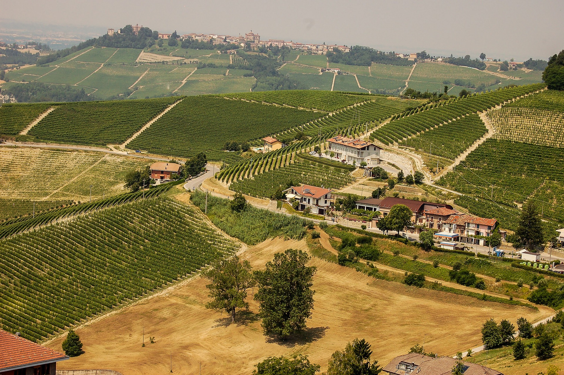 aratura piemonte 2020