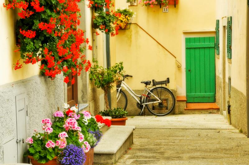 Borgo al Cotone