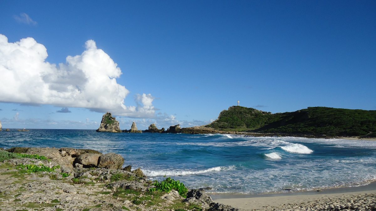 caraibi