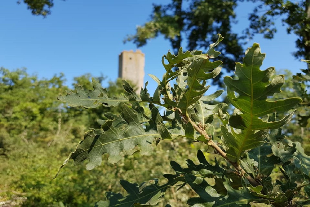 Chia Viterbo cosa vedere
