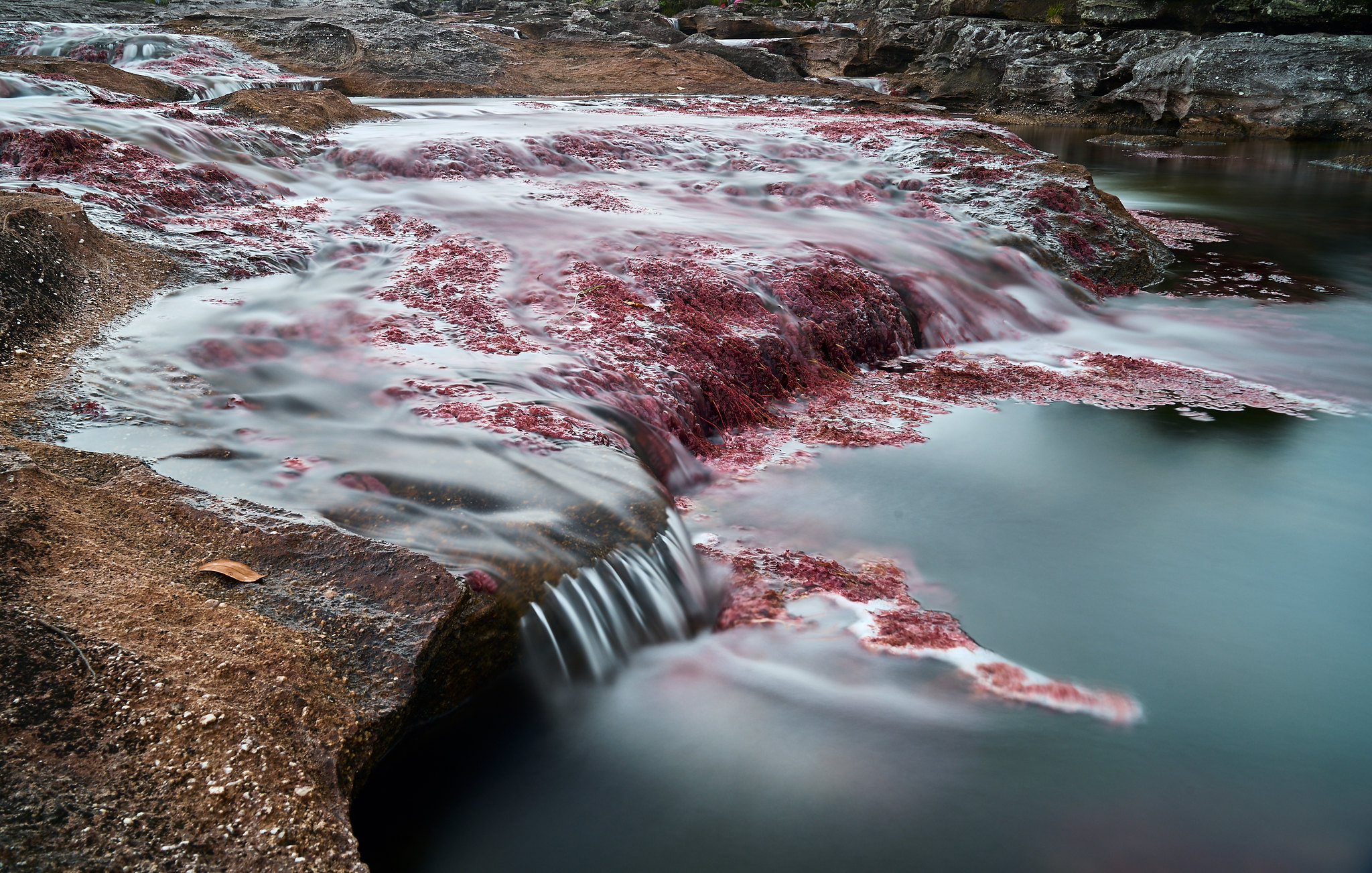 fiume dei cinque colori colombia