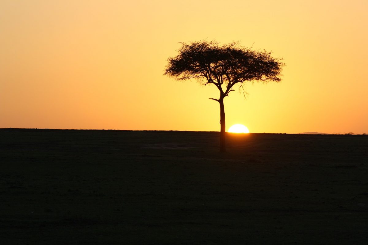 masai-mara