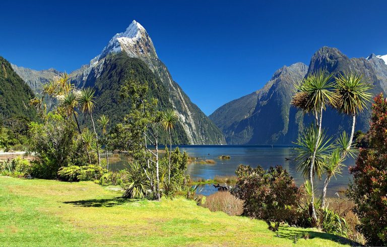 nuova zelanda cosa vedere in giorni