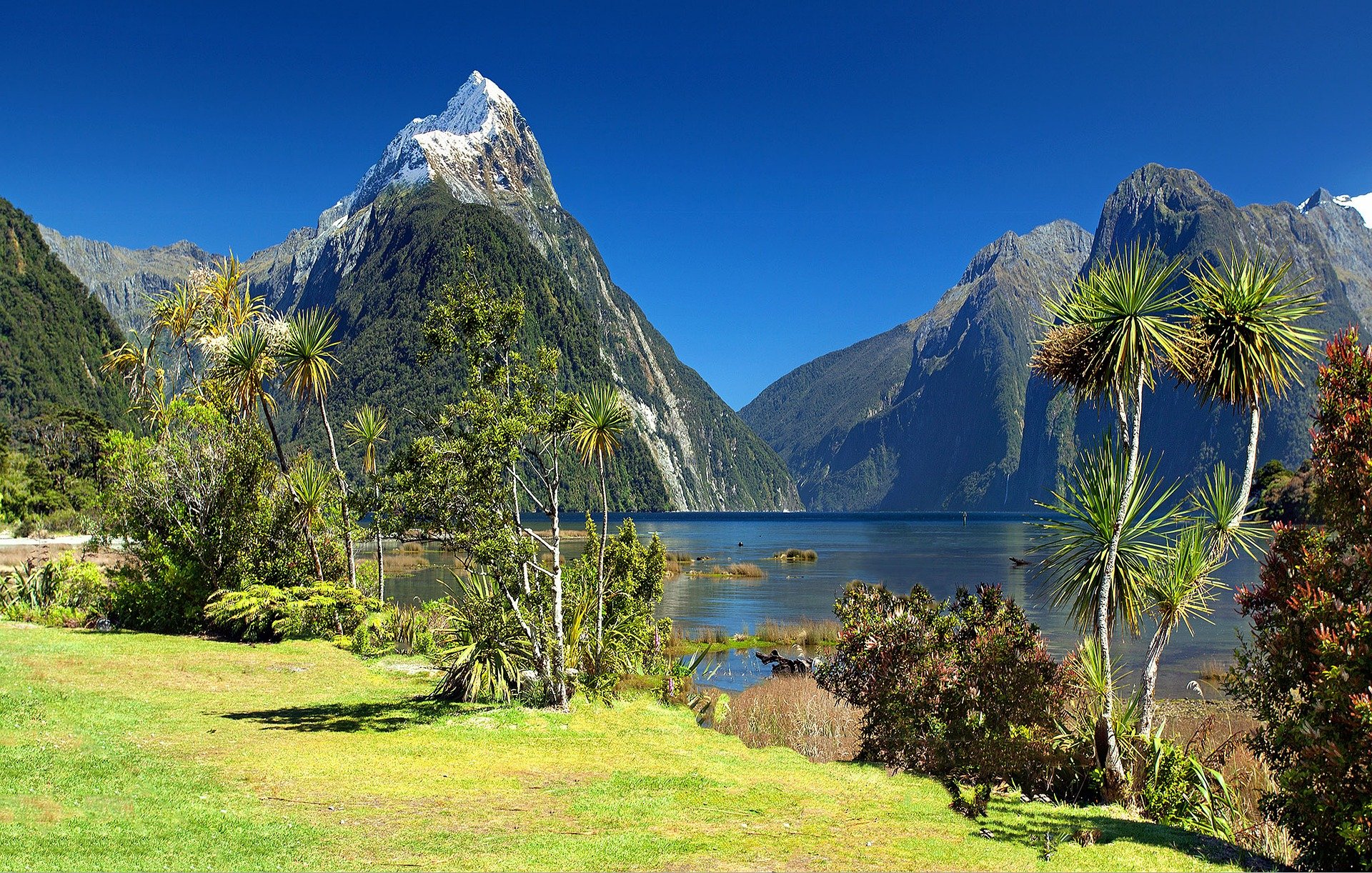 nuova zelanda cosa vedere in giorni