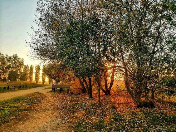 parco della vettabbia milano 3
