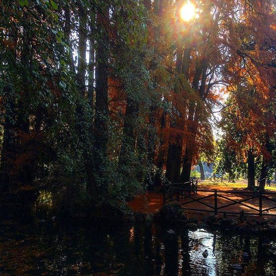 parco della vettabbia milano 5