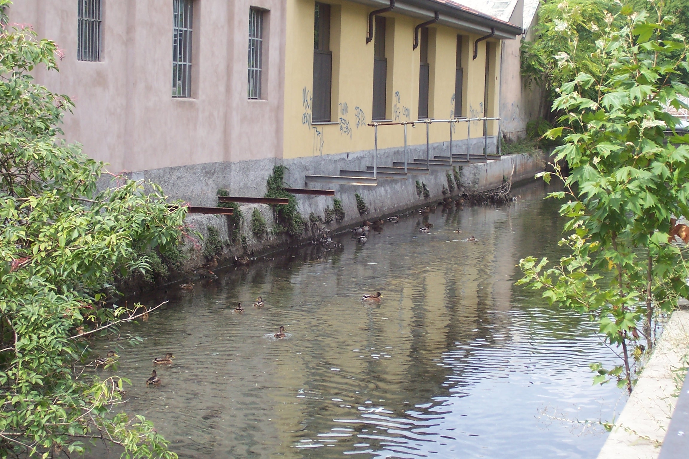 parco della vettabbia milano 6