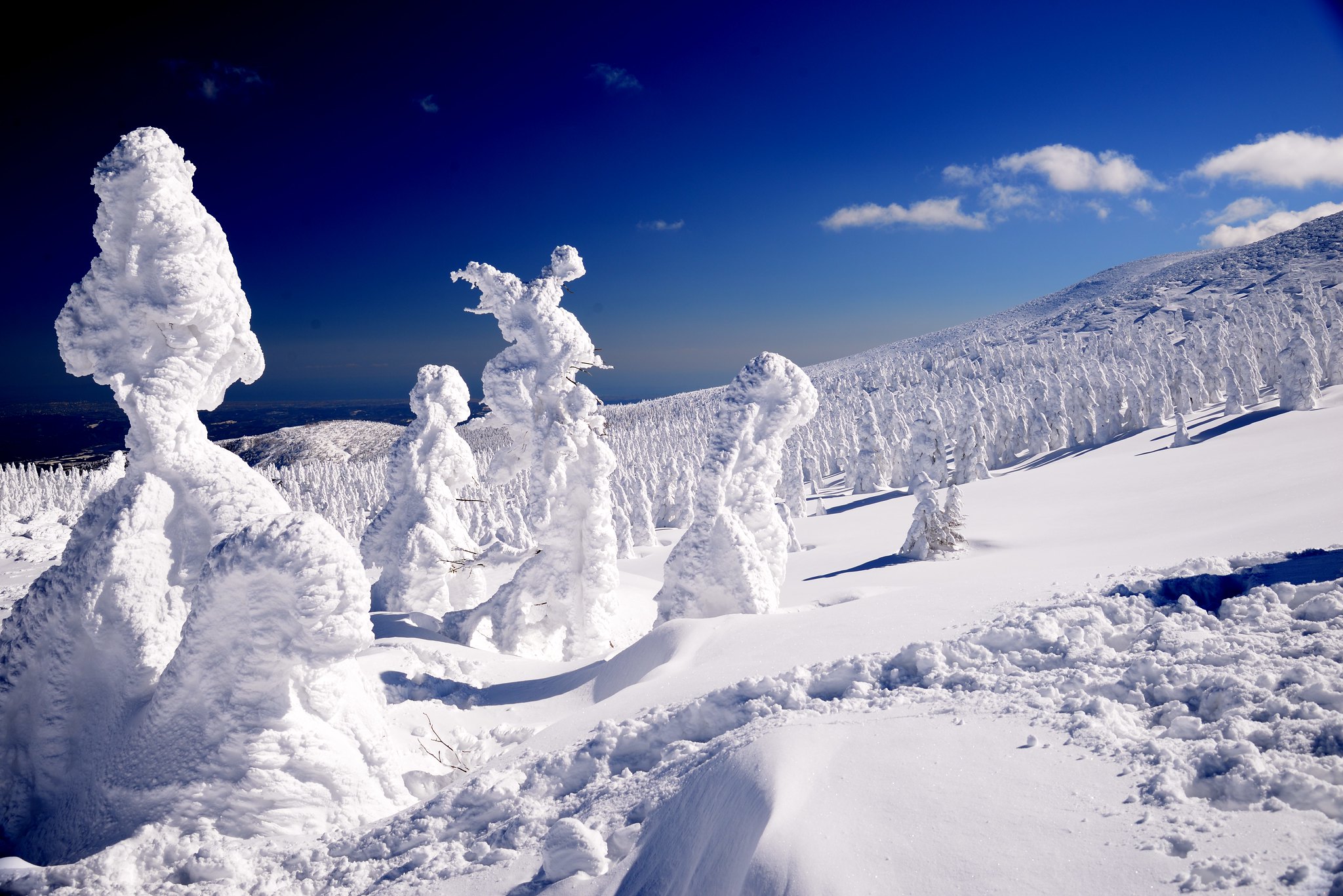 yamagata mostri della neve