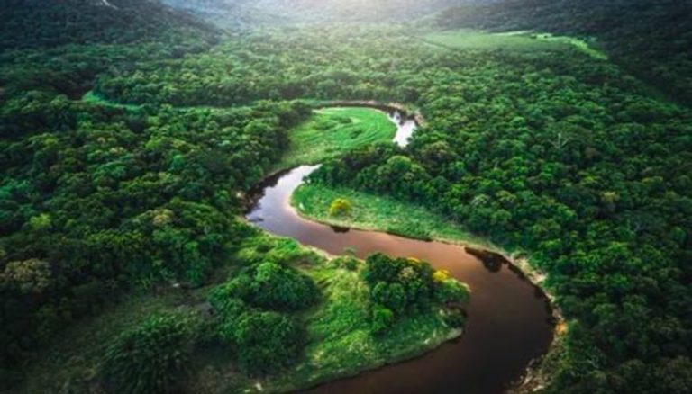 cause della deforestazione in Amazzonia