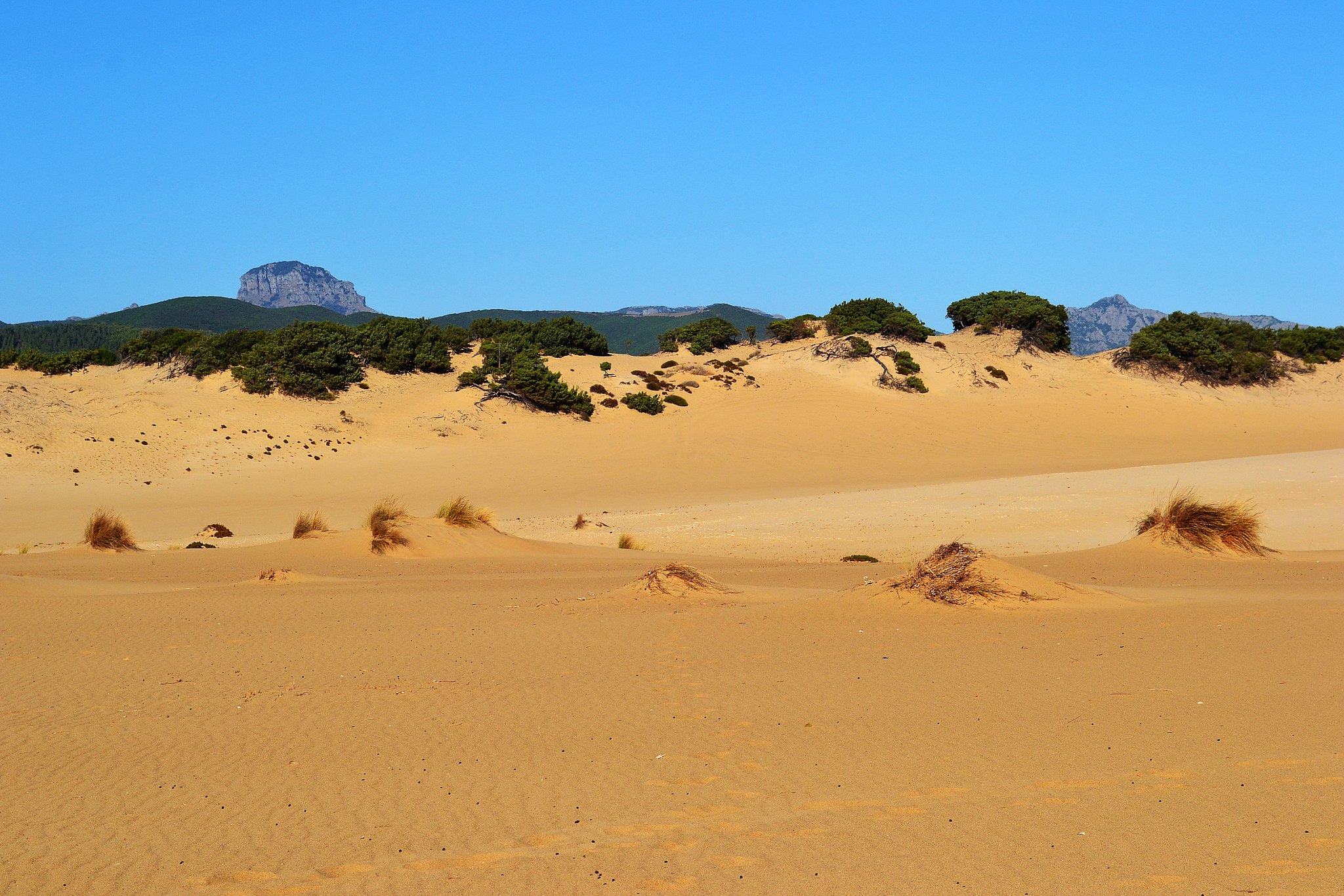 dune di piscinas sardegna