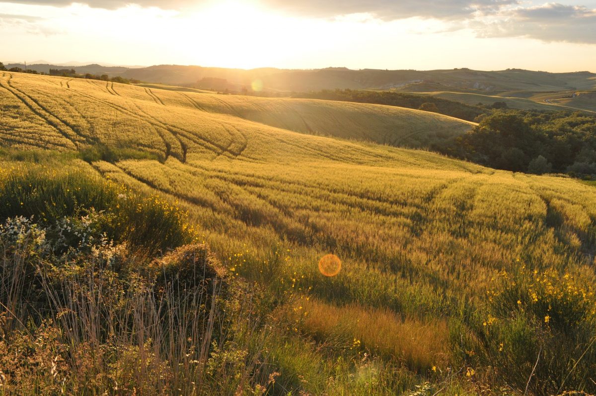 campi toscana