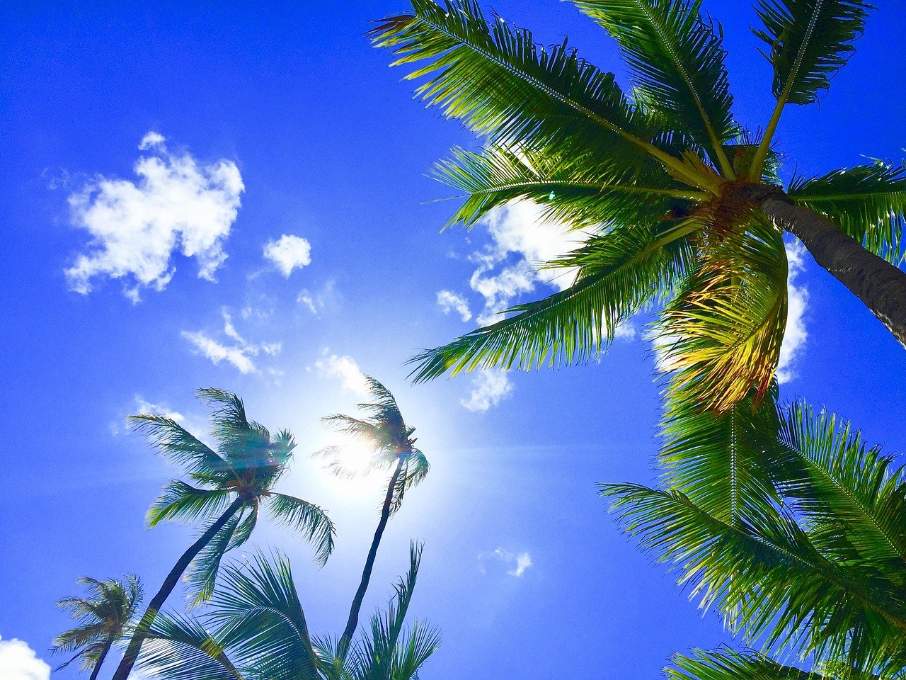 Hawaii pagano turisti