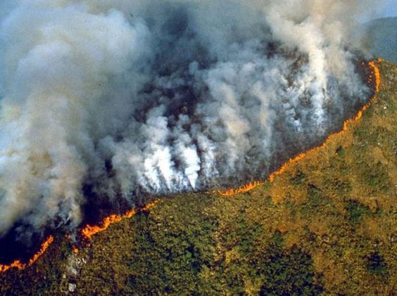 incendio amazzonia
