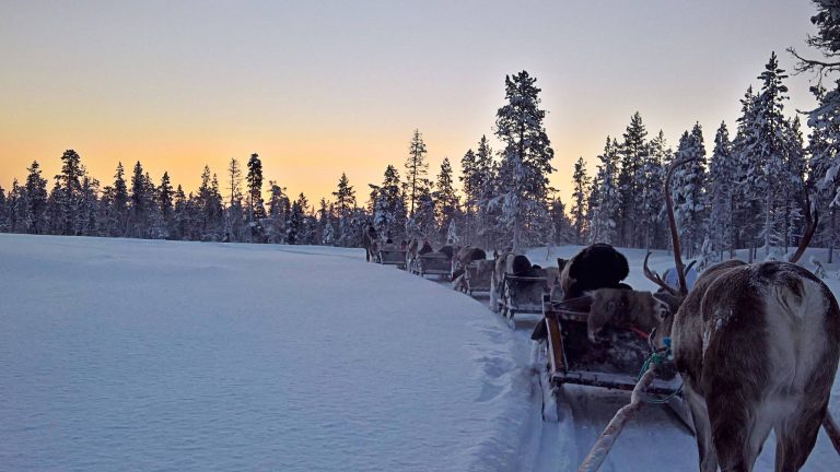 lapponia sami neve
