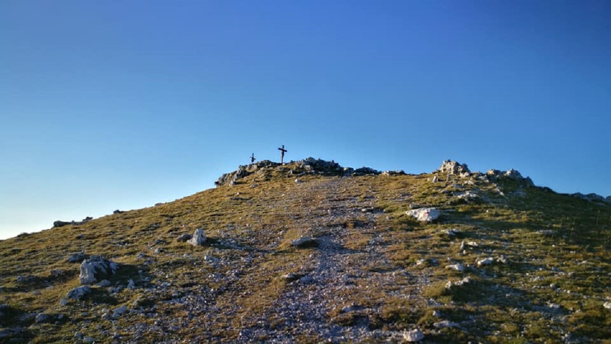 monte autore