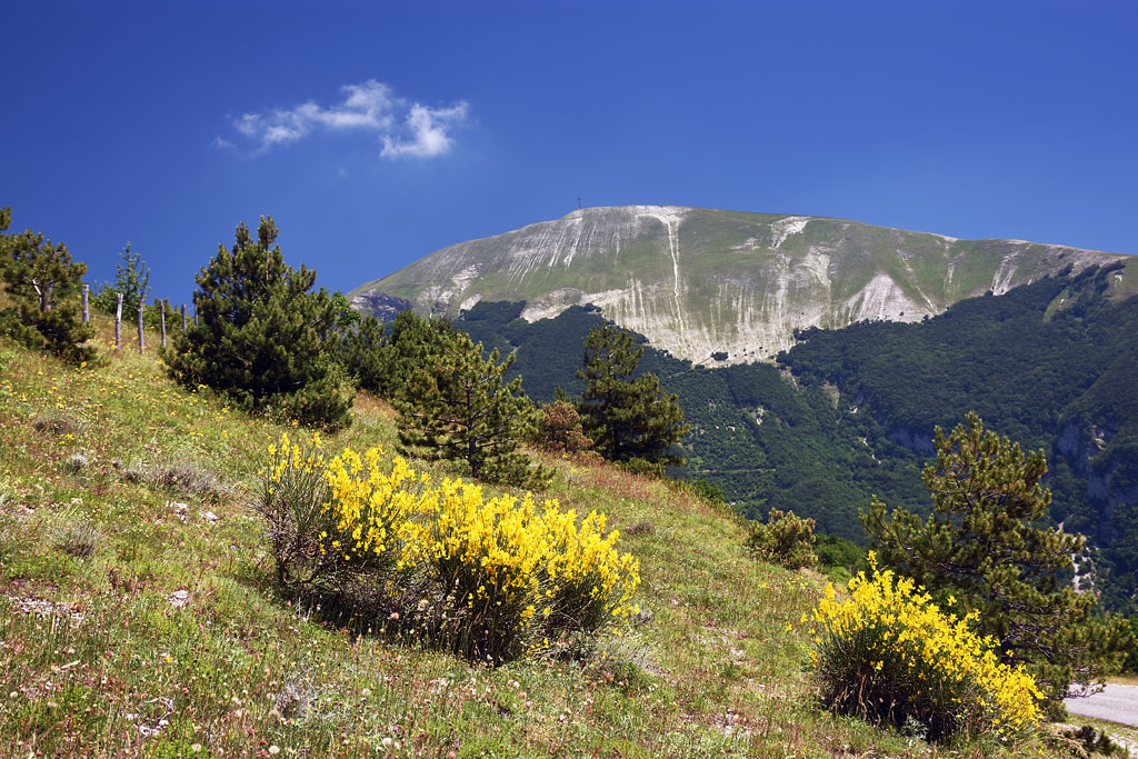 Monte Catria