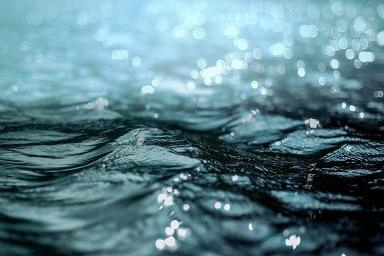 Namepa Marine Environment Protection Award 2020