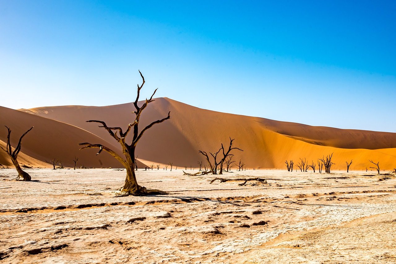 Deserto del Namib