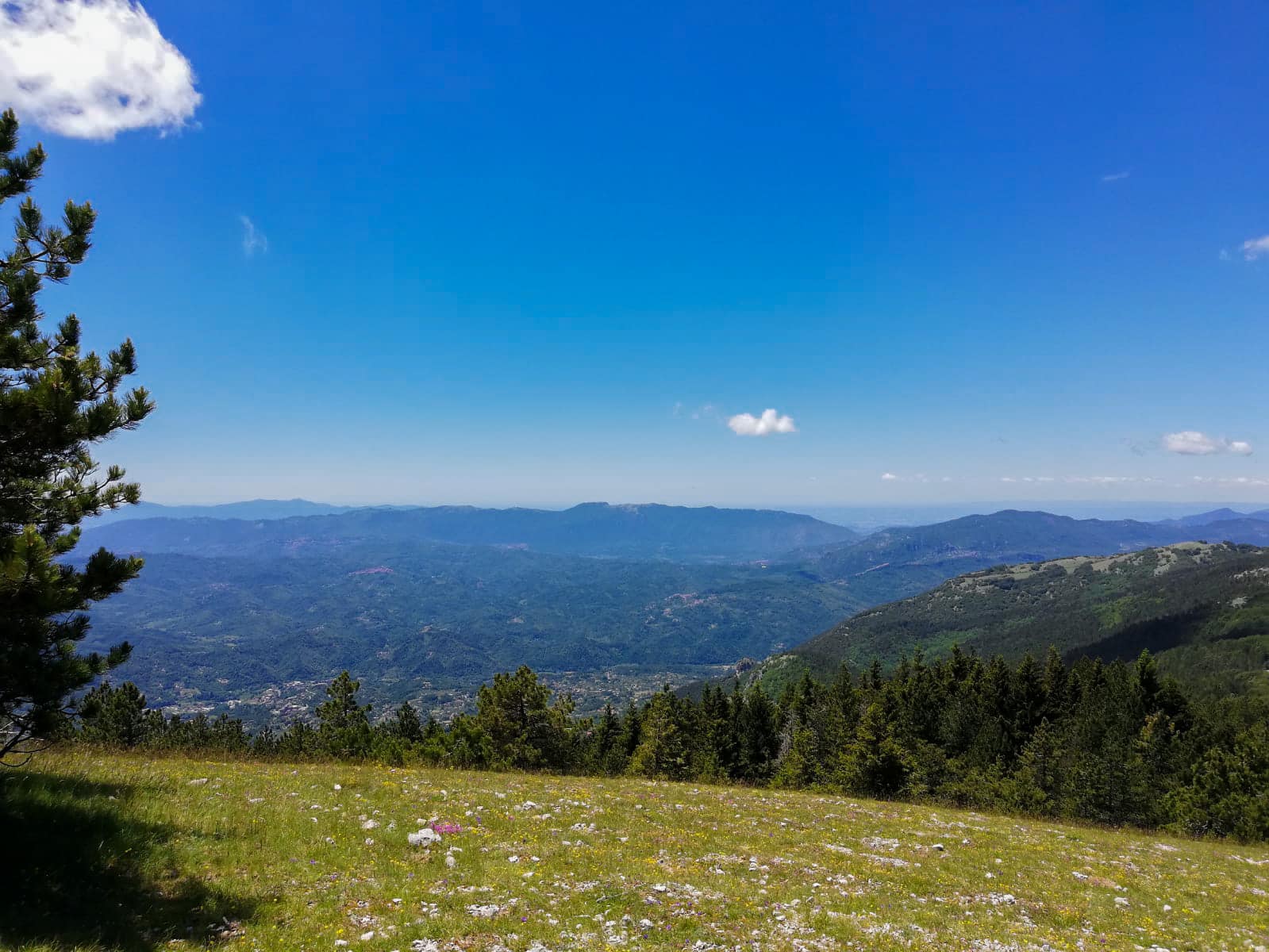 sentiero campo dell osso monte autore