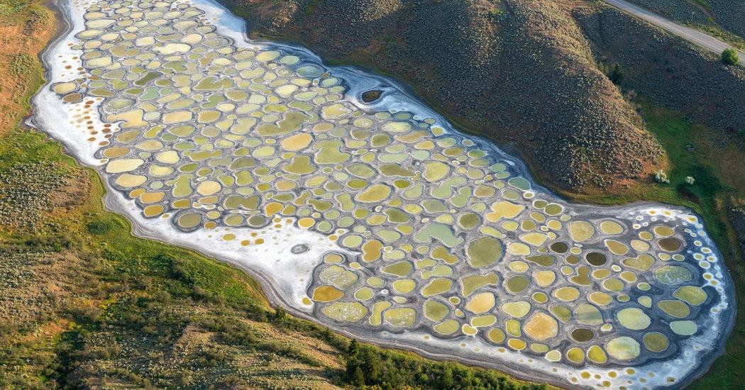 Spotted Lake