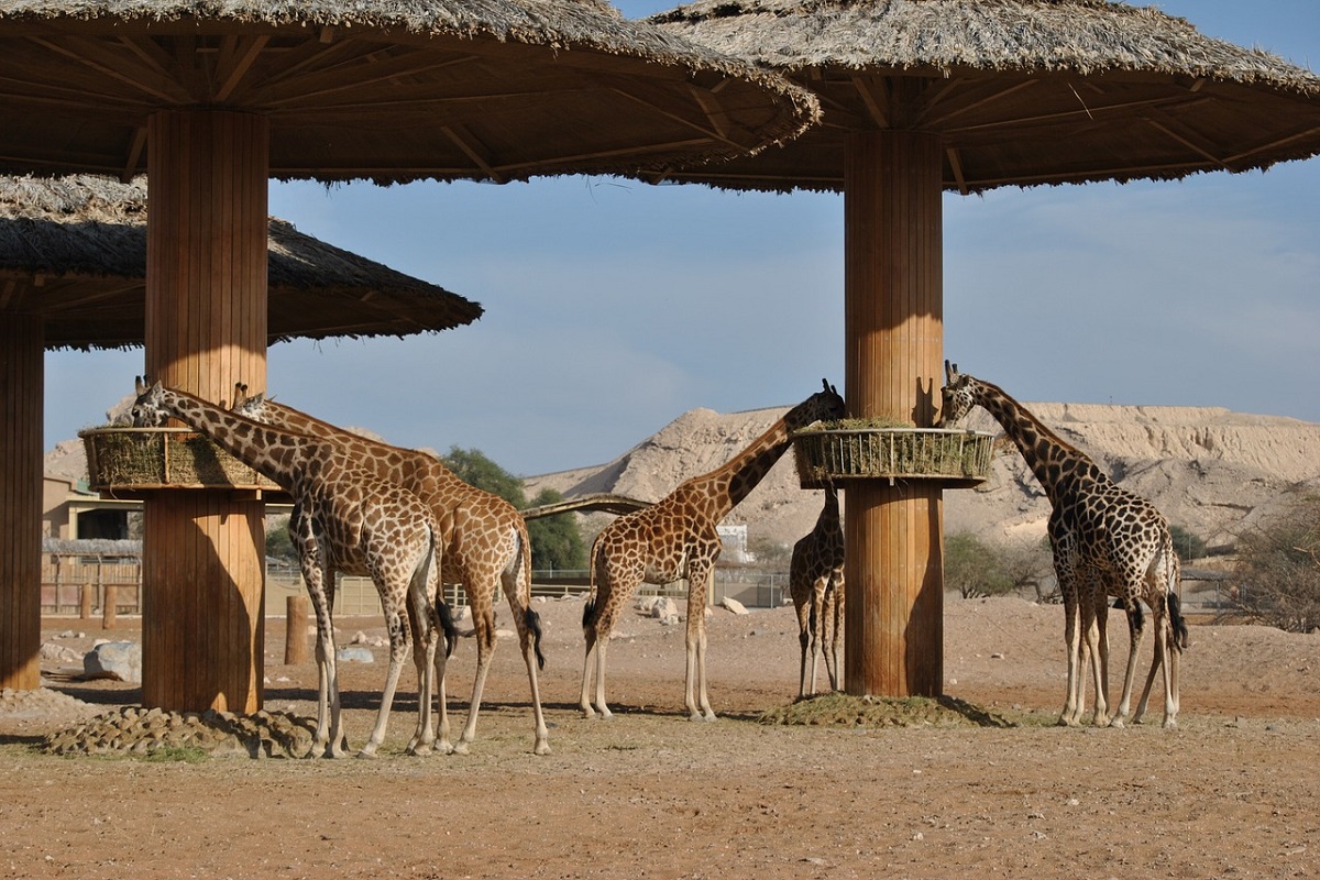 Sudafrica cosa vedere con bambini