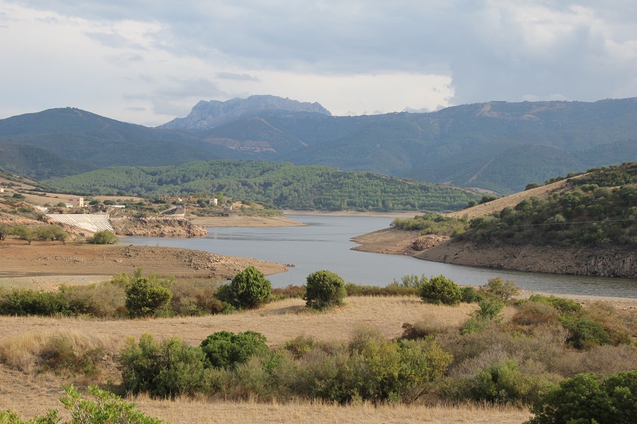 Parco naturale regionale di Tepilora