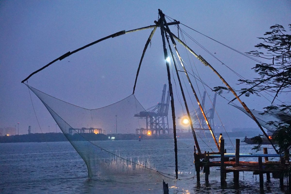 kochi reti cinesi